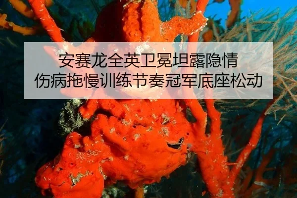 an-sai-long-quan-ying-wei-mian-tan-lu-yin-qing-shang-bing-tuo-man-xun-lian-jie-zou-guan-jun-di-zuo-song-dong-2-440.jpg