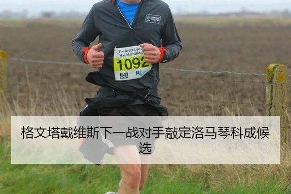 格文塔戴维斯下一战对手敲定洛马琴科成候选