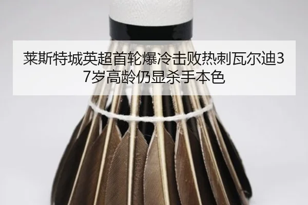 lai-si-te-cheng-ying-chao-shou-lun-bao-leng-ji-bai-re-ci-wa-er-di-sui-gao-ling-reng-xian-sha-shou-ben-se-3-597.jpg